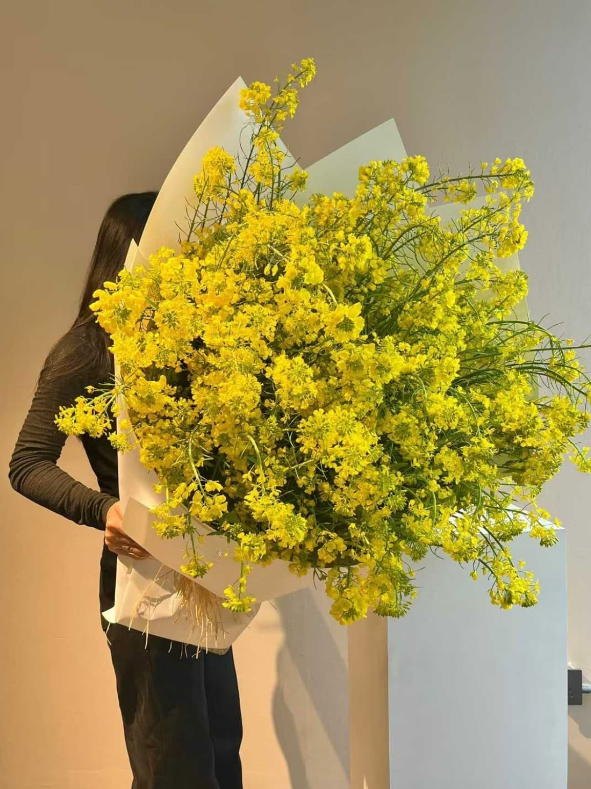 Nanohana 油菜花