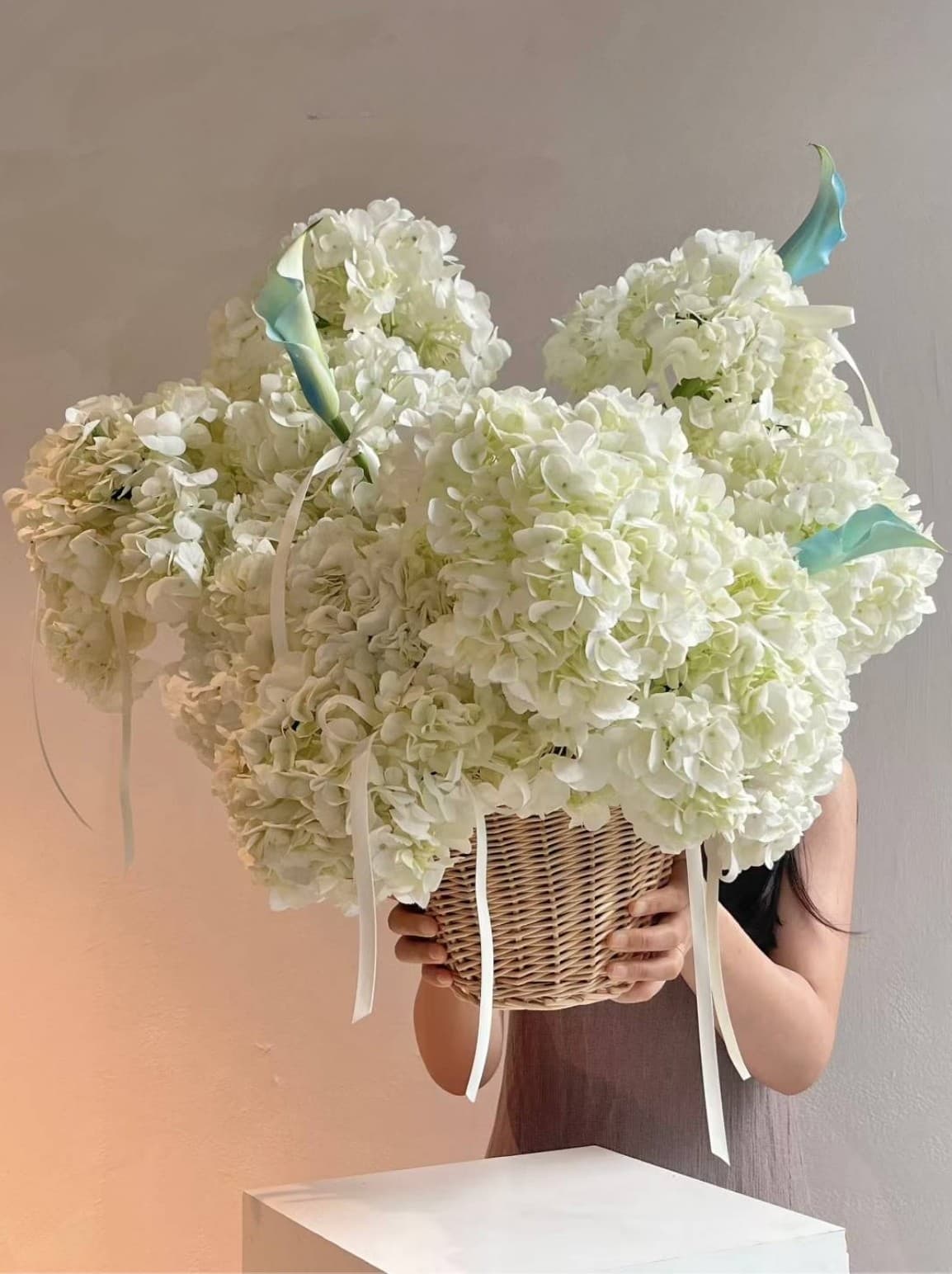 White Cloud in a Basket