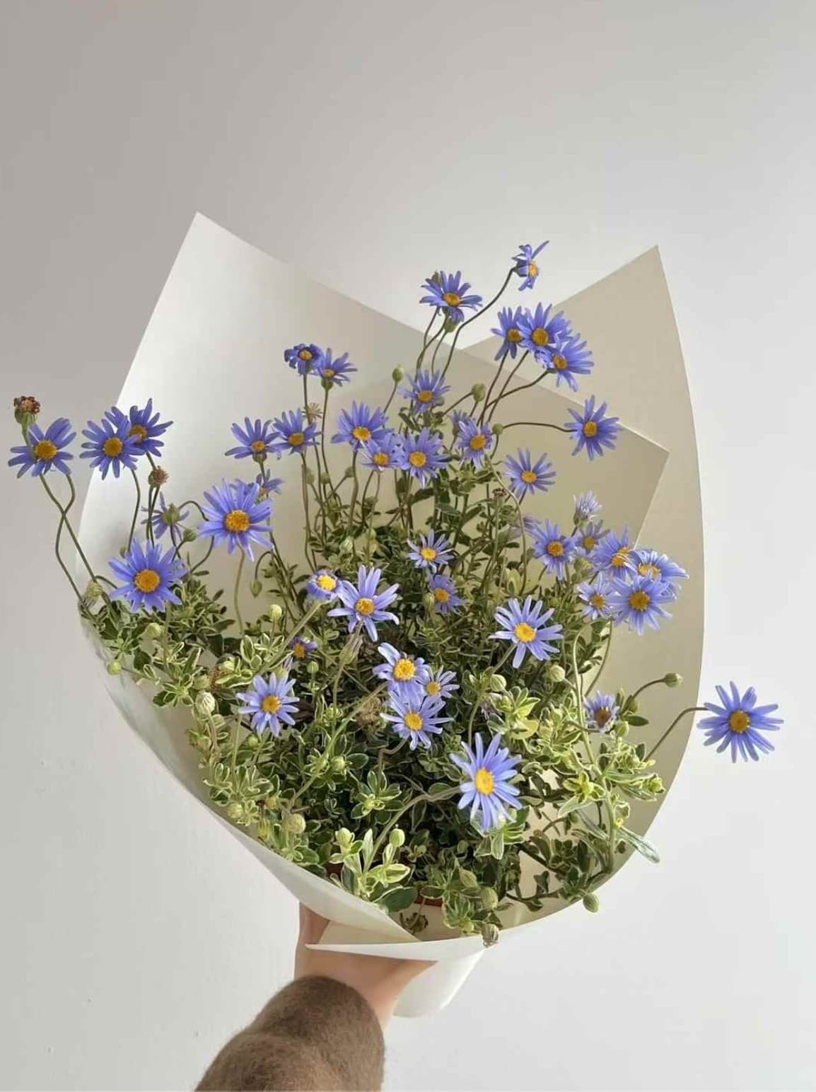 Wildflower Bouquet